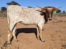 3C Sweet & Sassy Problems